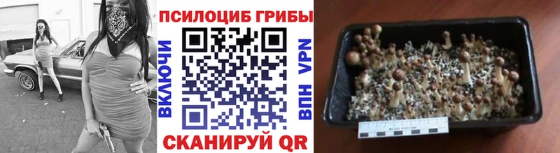 гидра ТОР  Яхрома  Псилоцибиновые грибы прущие грибы  сколько стоит 